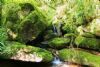 "Cascading Waterfall"