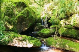 "Cascading Waterfall"