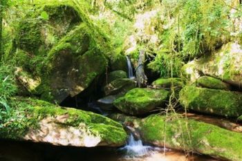 "Cascading Waterfall"