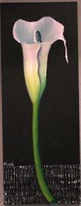 "White lilly"