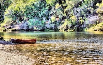 "Quiet, Water"