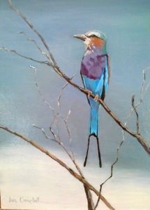 "Lilac-Breasted Roller"