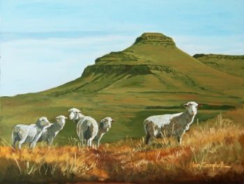 "Waterkloof Sheep"