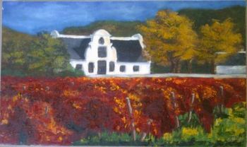 "Cape Vineyards"