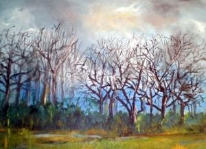 "Boland Winter"