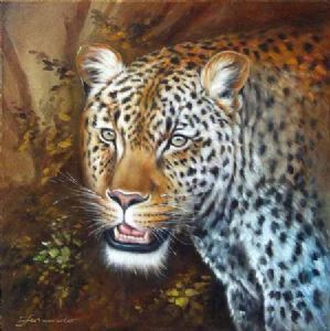 "Leopard Head"