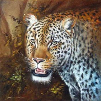 "Leopard Head"