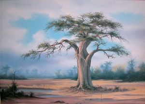 "Baobab"