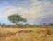 Lazy Lowveld Afternoon