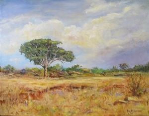 "Lazy Lowveld Afternoon"