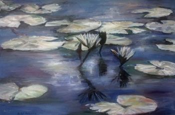 "Water Lillies"