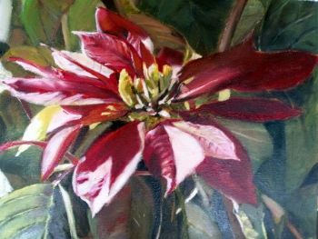 "Red Flower"