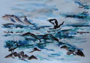 "Kelp Gulls Near Strand"