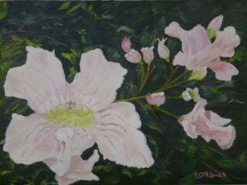 "Pale Pink Flowers"