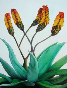"Aloes - Ice Blue Sky"