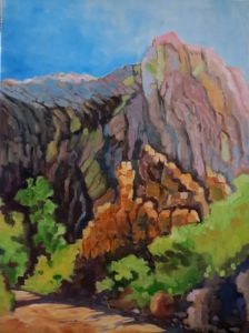 "Baviaans Kloof"