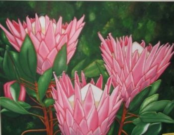 "King Proteas"