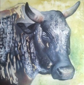 "Nguni"