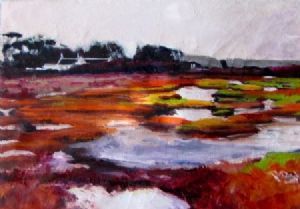 "Geelbeck langebaan"