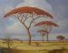 Autumn Silence (Pierneef Style)