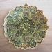 Green Mandala Plate