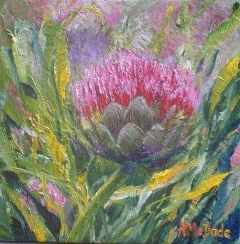 "Cardoon"