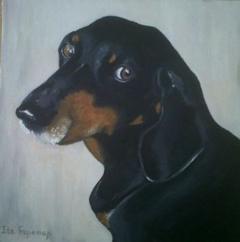 "Pet Commission"