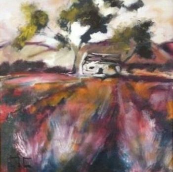 "Lavender Field 2"