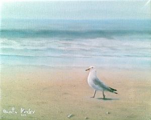 "Seagull on Beach"