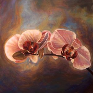 "Illuminated Orchid"