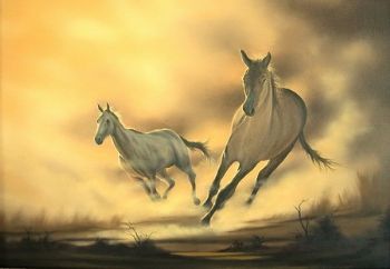 "Desert Run - Wild Horses"