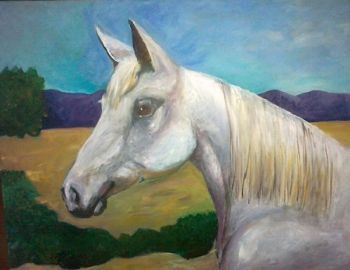 "Arabian Horse Profile"