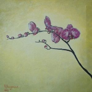 "Orchid Fuchsia 2"