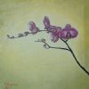 "Orchid Fuchsia 2"