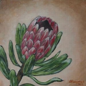 "Protea_Red"