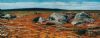 "West Coast Nature Reserve (Postberg)"