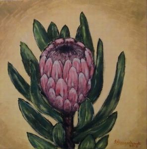 "Protea - Pink"