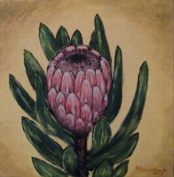 "Protea - Pink"