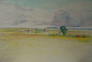 "Near Nieuwoudtville"