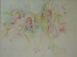 "Blushing Bride Serruria Florida"