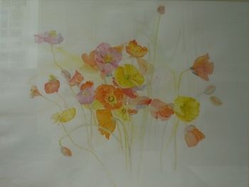 "Dream Poppies"