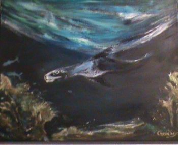 "Seal Time"