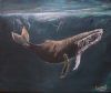 "Whale of A Time"