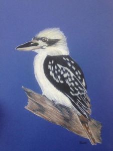 "Kookaburra"