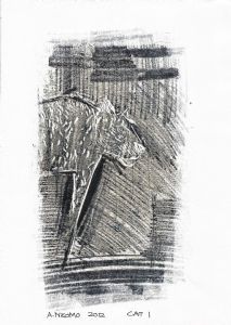 "Cat 1"