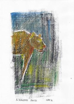 "Cat 2"