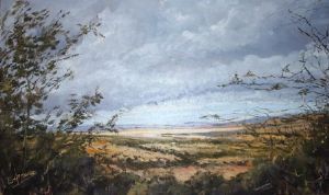 "Stormy Cradock Country"