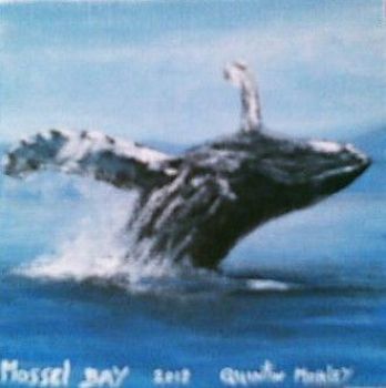 "Whale - Mossel Bay"