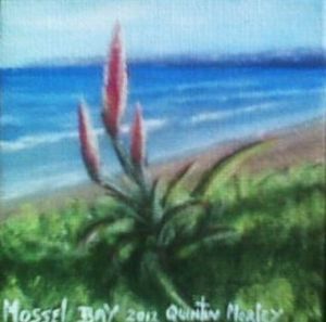 "Aloe - Mossel Bay"