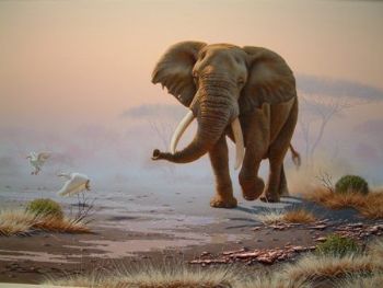 "Elephant 03"